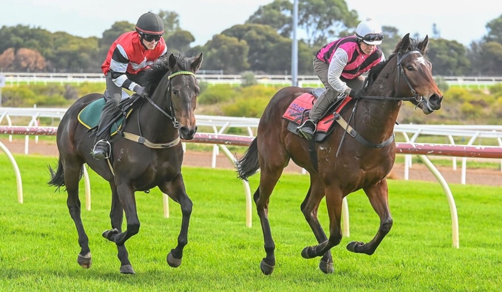 Awarded Glory (AUS) - Image 2
