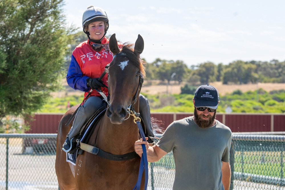 Awarded Glory (AUS) - Image 3