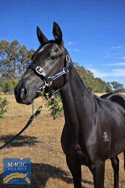 Messenger_creation_AAEC0E2C-E748-4606-AAF4-C6A935C84BDB.jpg - Image 1