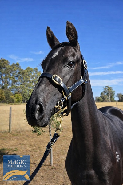 Messenger_creation_8FF2CF64-10B6-4B4D-9525-4E3D57AE4109.jpg - Image 2