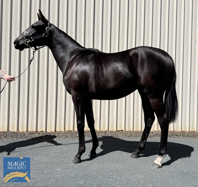 IMG_20260220_151341.jpg - Image 3