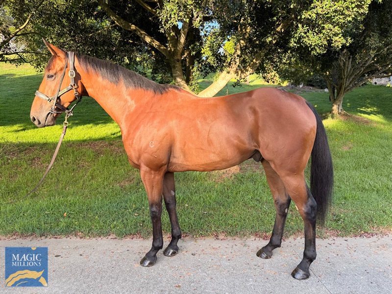 974d228e-197c-4dfe-a255-8debc1d8df5d.jpg - Image 1