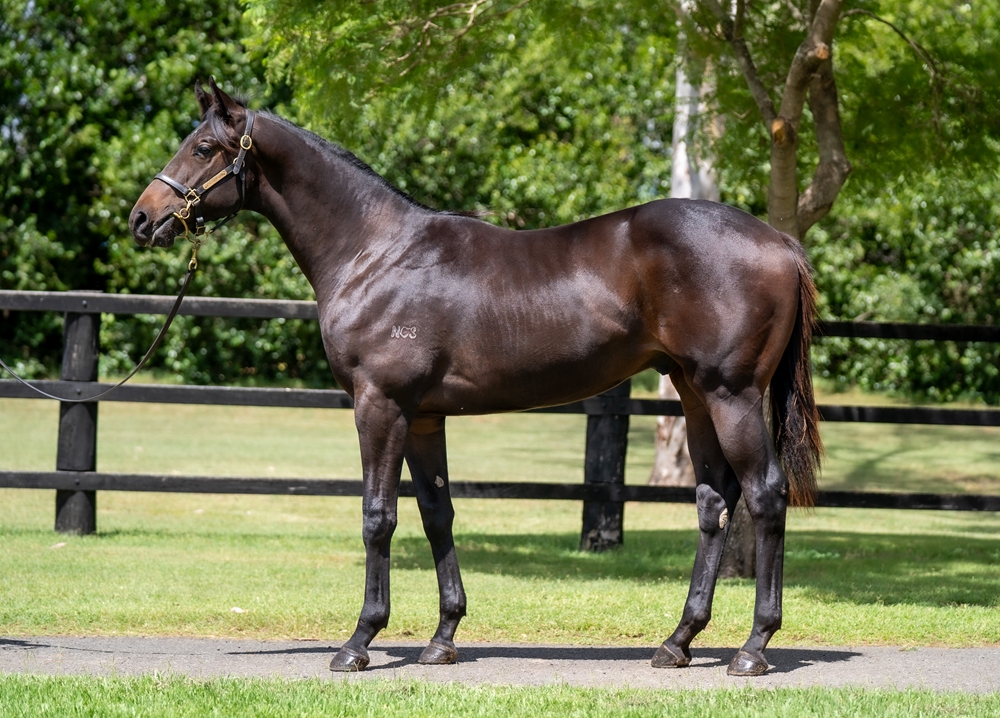 Exosphere (AUS) / Elegant Carriage (AUS) 2024 Colt - Image 1