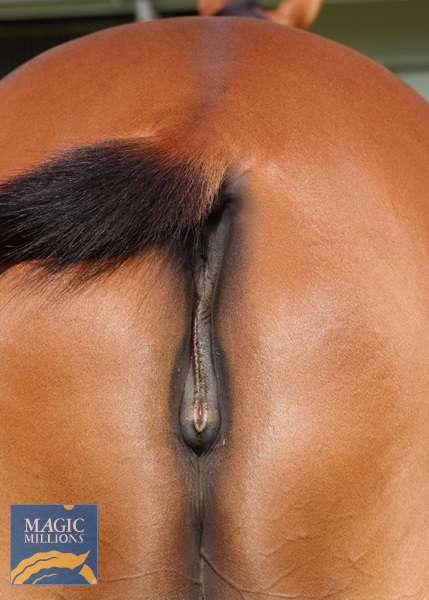Symbolise vulva.jpg - Image 4