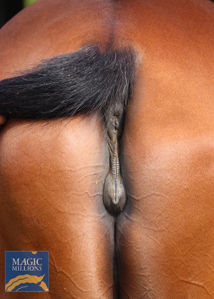 Wedding Vow vulva.jpg - Image 4