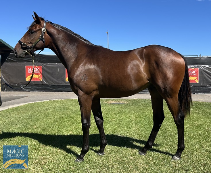 FullSizeRender.jpg - Image 1