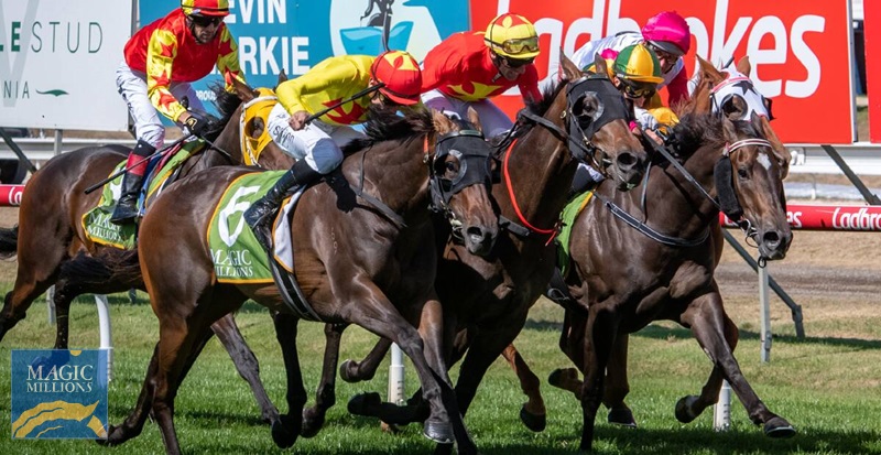 JAGUAR STONE 3YO Cup.jpg - Image 1