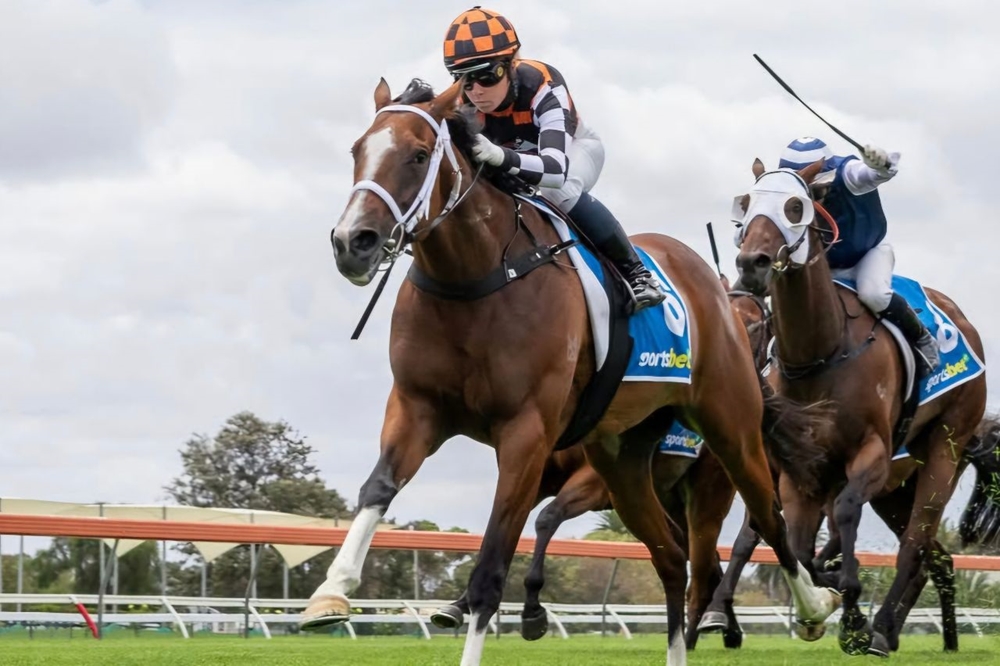 Beauty Rising (AUS) - Image 1