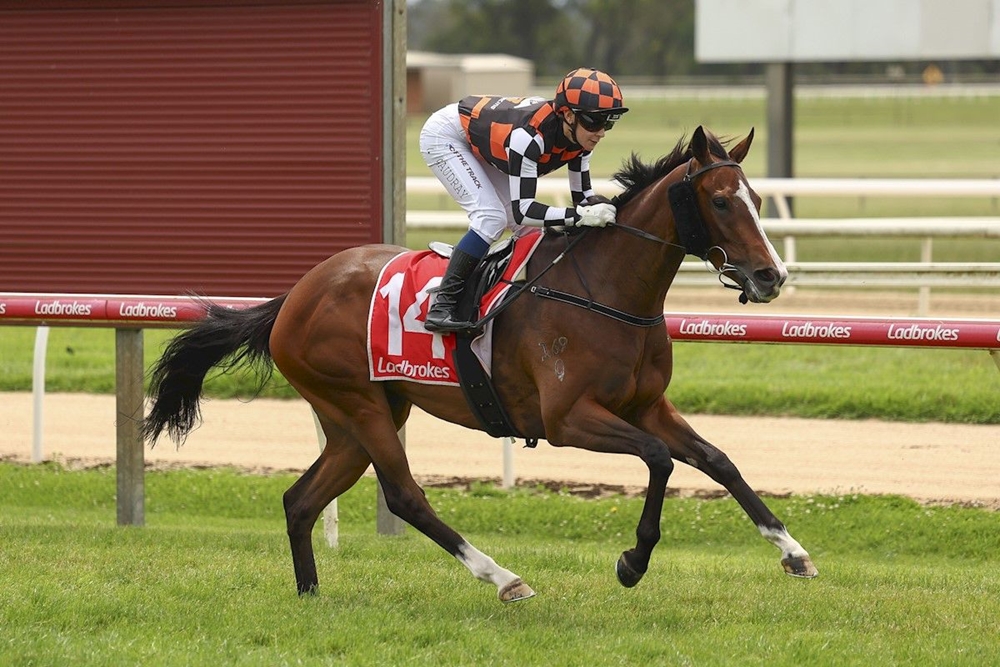 Steel Impact (AUS) - Image 1