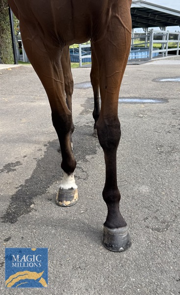 IMG_8916.jpg - Image 2