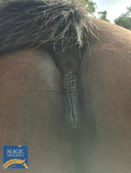 Apache Point Perineum.jpg - Image 4