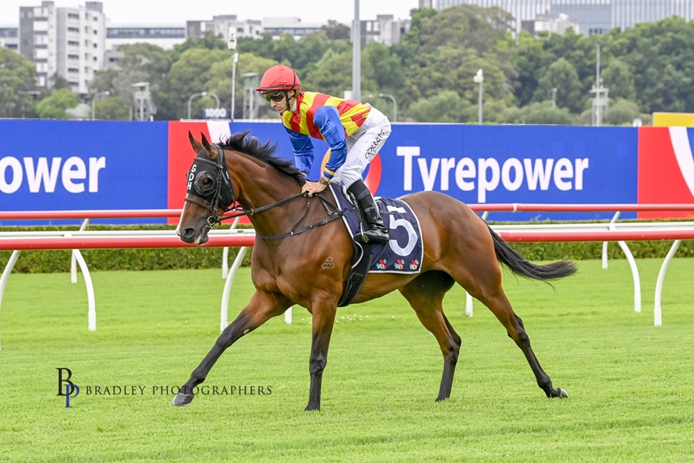 Private Legacy (AUS) - Image 2