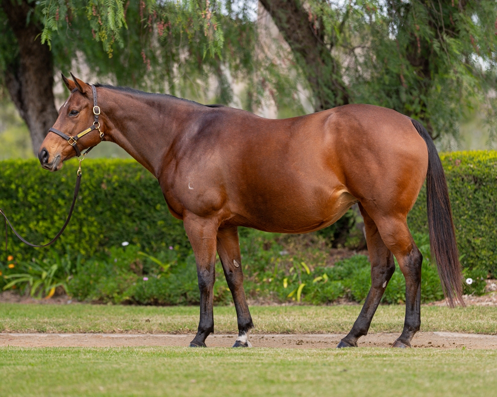 Kardashing (AUS) - Image 1