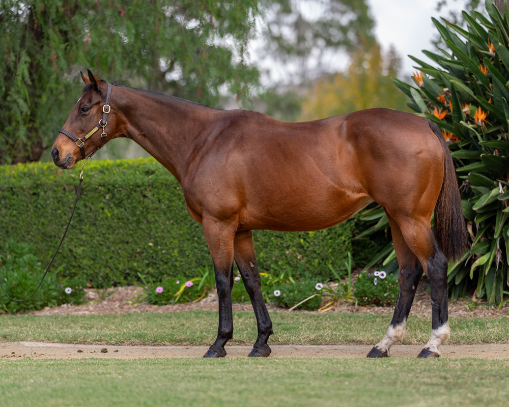 Turbo Miss (AUS) - Image 1