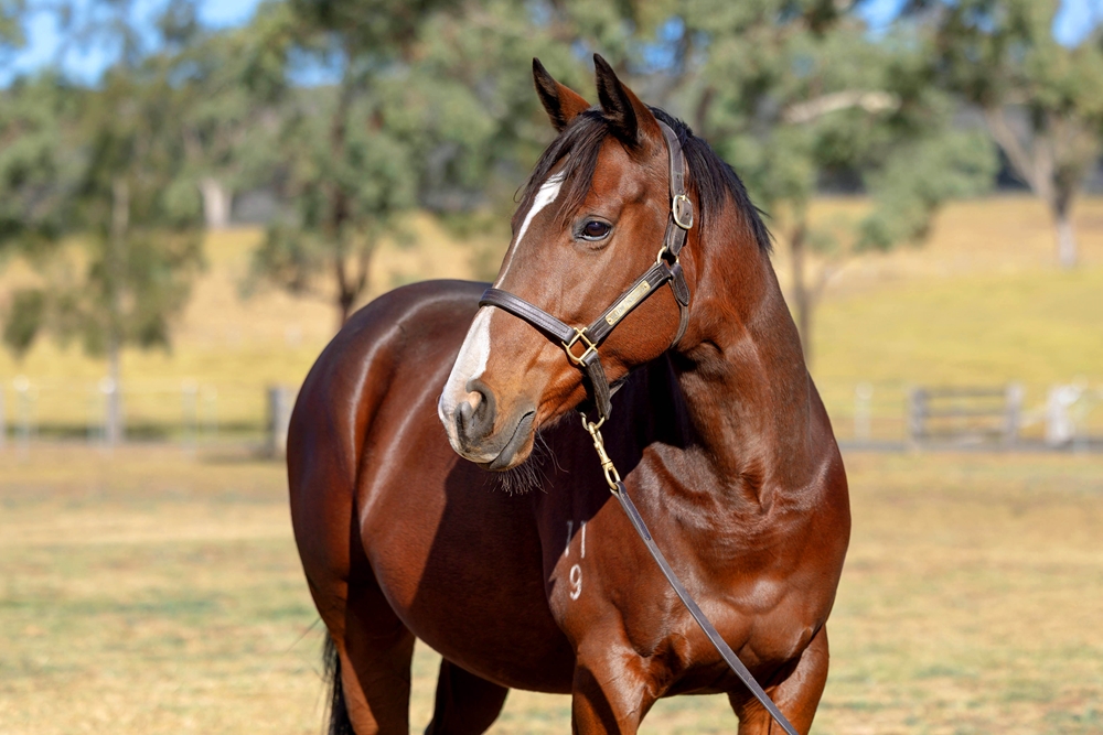 Miss Monopoly (AUS) - Image 2