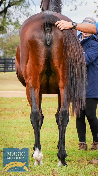 DSC09489-Defy The Odds-2.jpg - Image 3