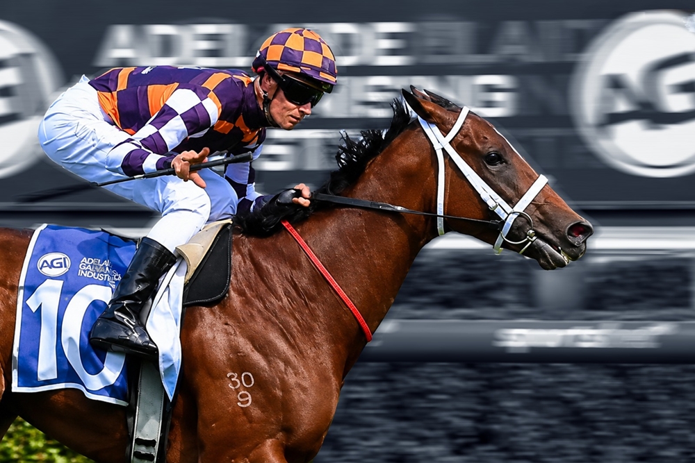 Beauty Bound (AUS) - Image 1