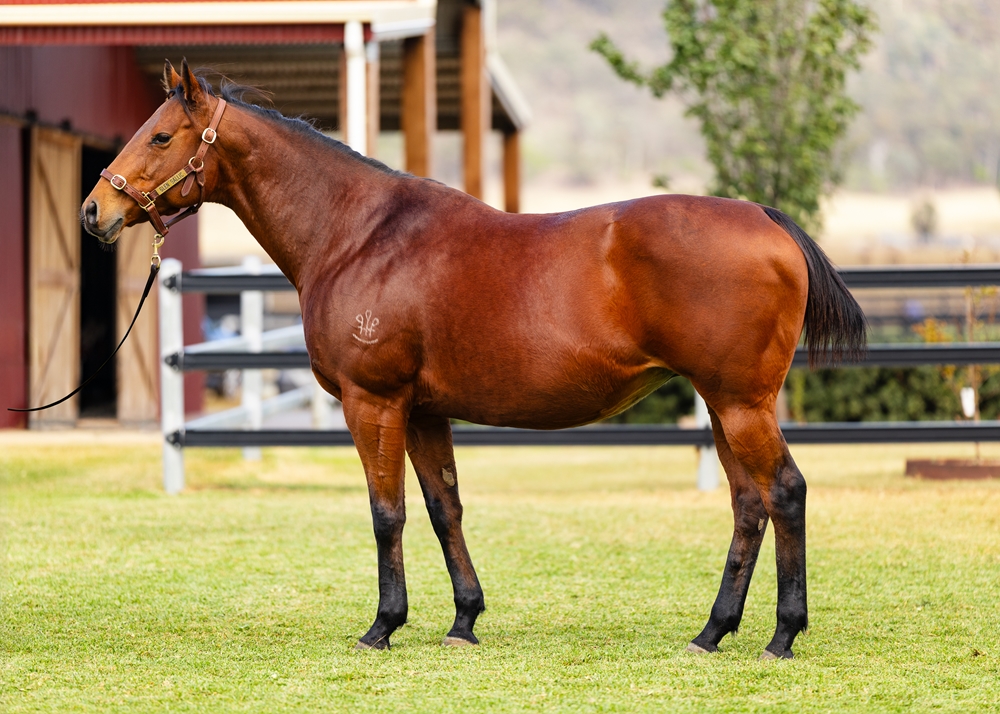 Don't Doubt Marley (AUS) - Image 1