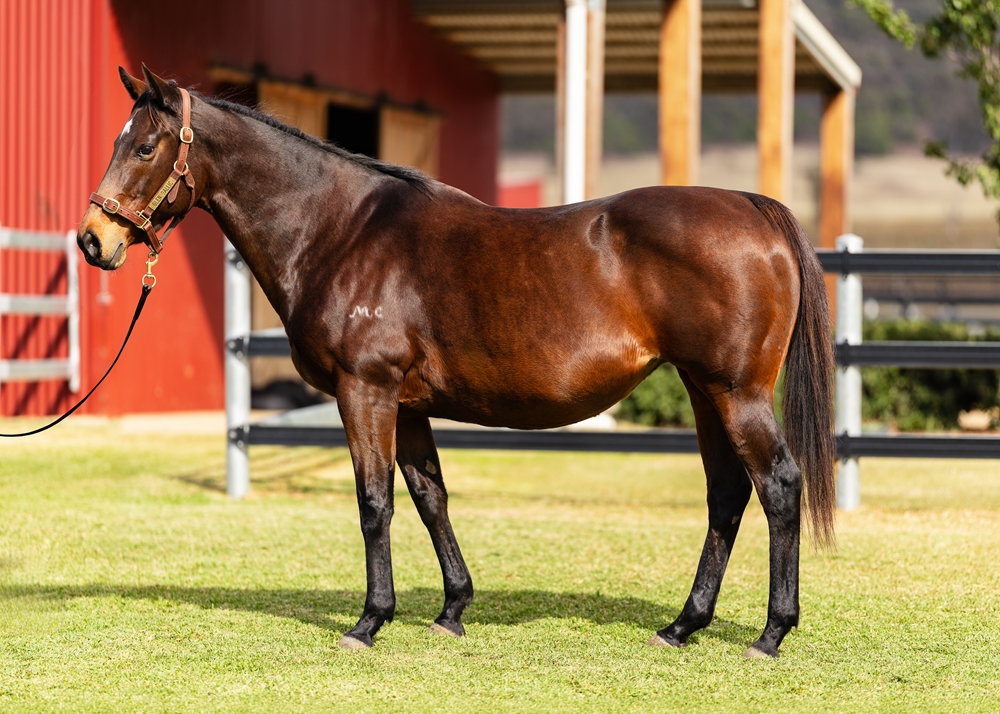 Flash of Doubt (AUS) - Image 1