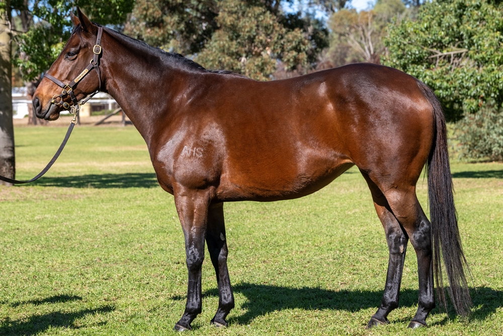 Nature Lover (AUS) - Image 1