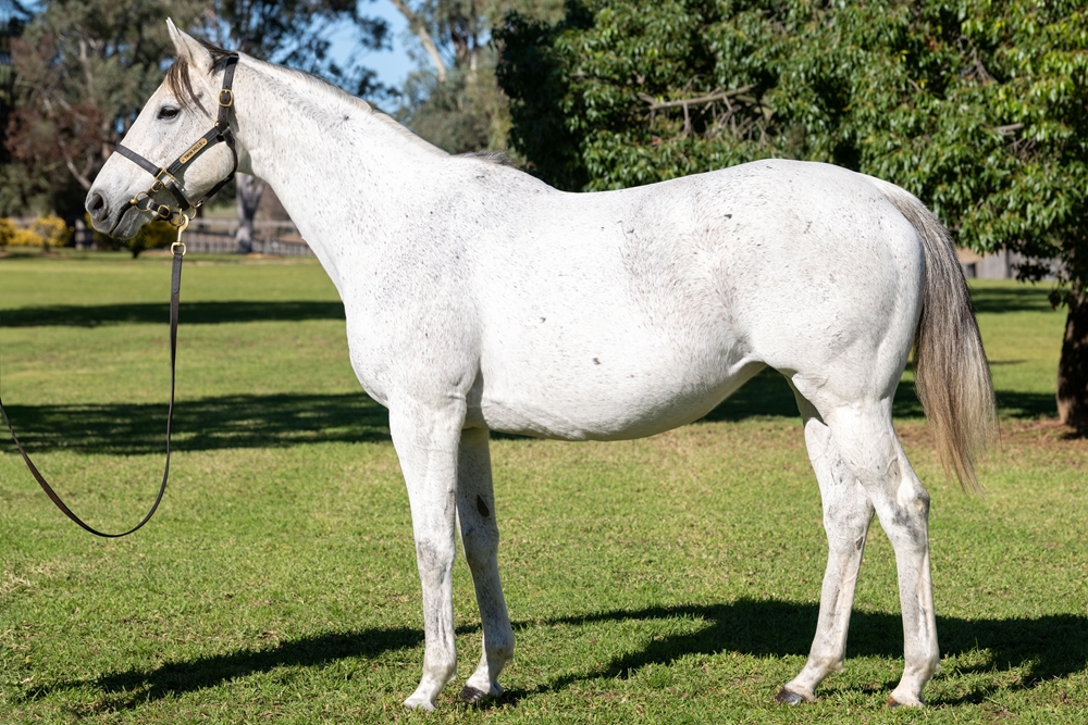 She's a Treasure (NZ) - Image 1