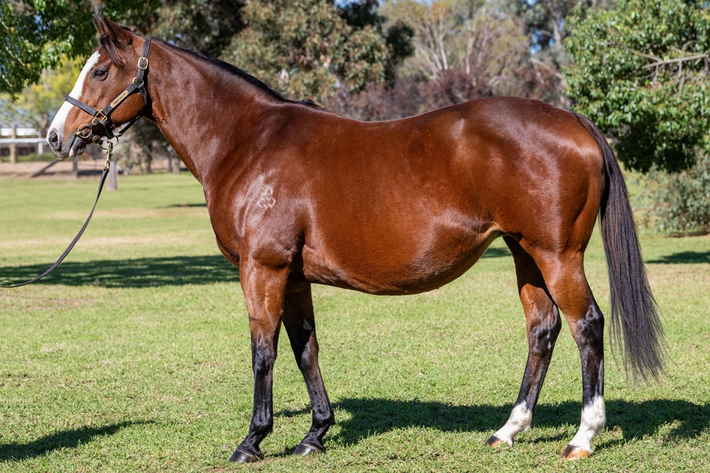 Cosmic Powers (AUS) - Image 1