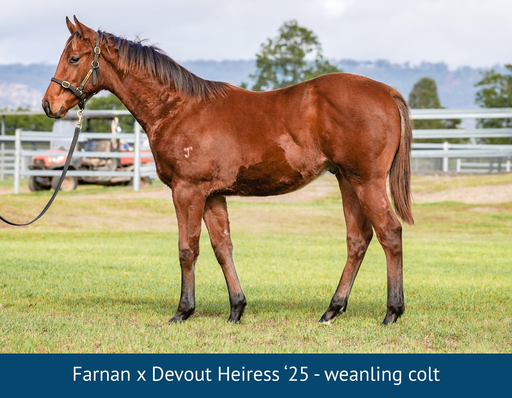 Devout Heiress (USA) - Image 1