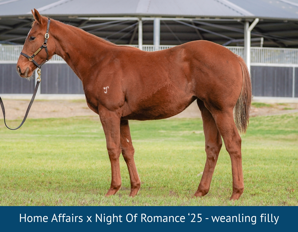 Night of Romance (GB) - Image 1