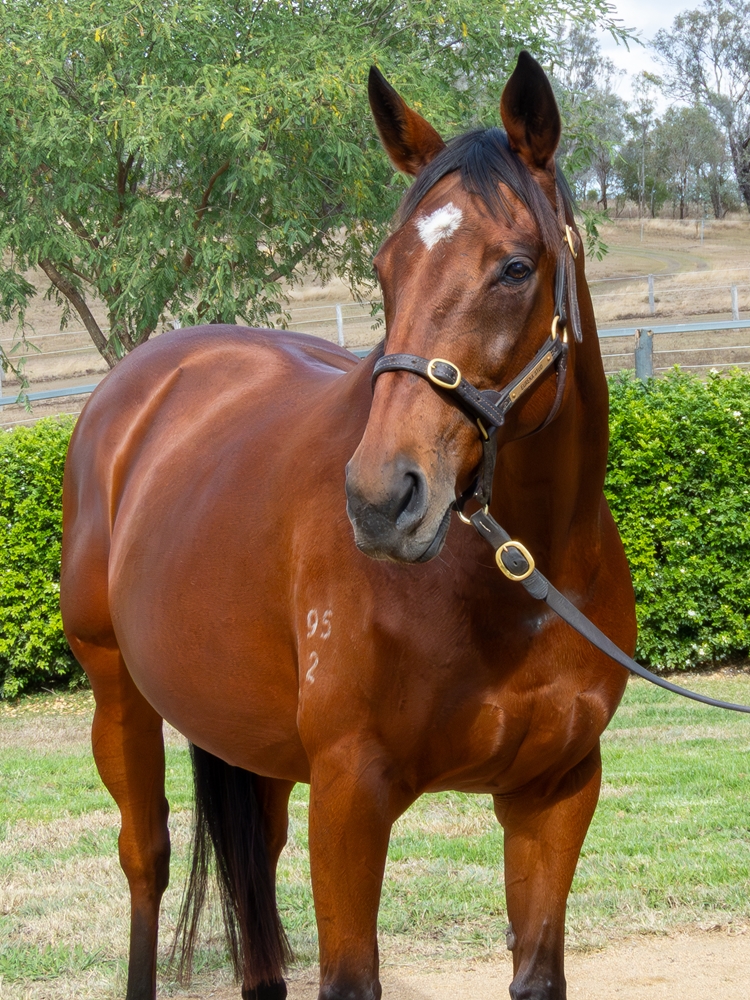 Token of Love (AUS) - Image 2
