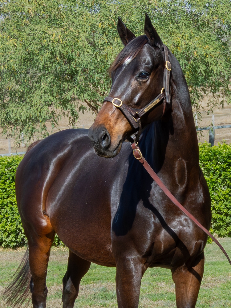Sacred Feeling (NZ) - Image 2