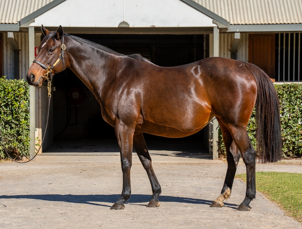 Never be Discreet (AUS) - Image 1