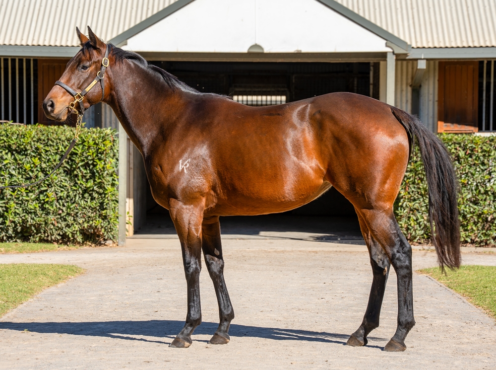 Sweet 'n' Easy (AUS) - Image 1