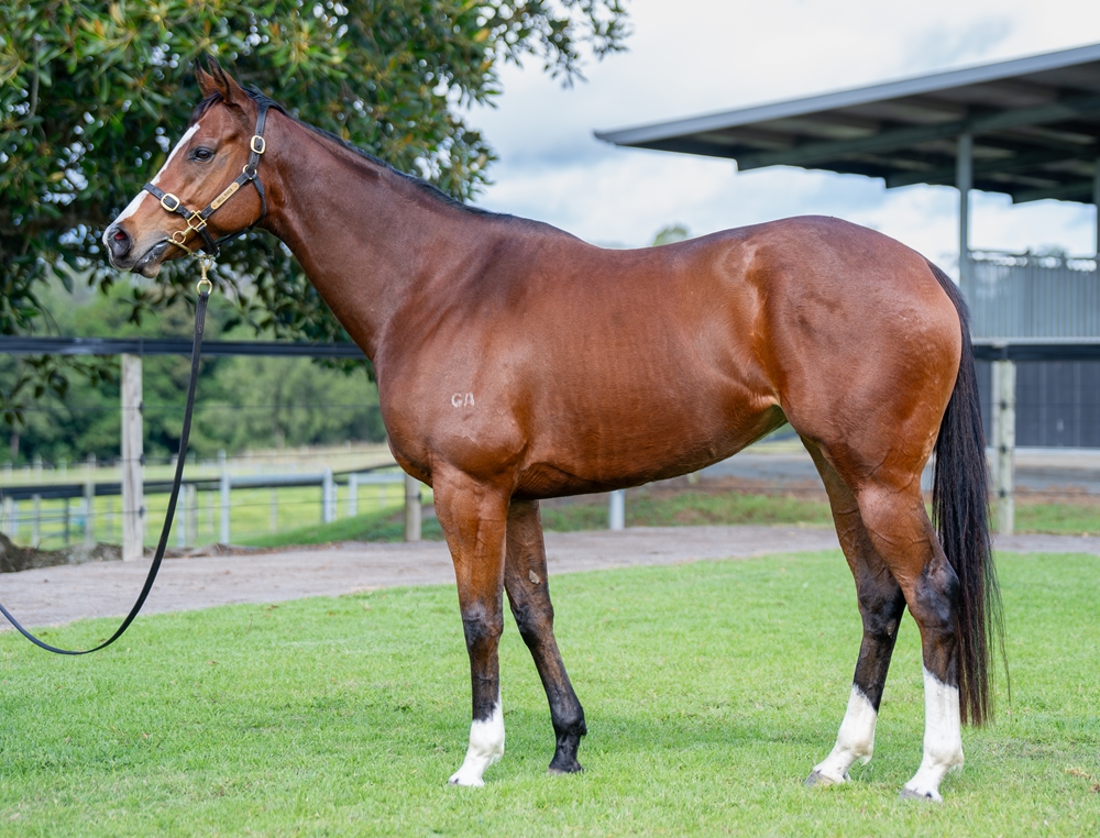 McKeon (AUS) - Image 1