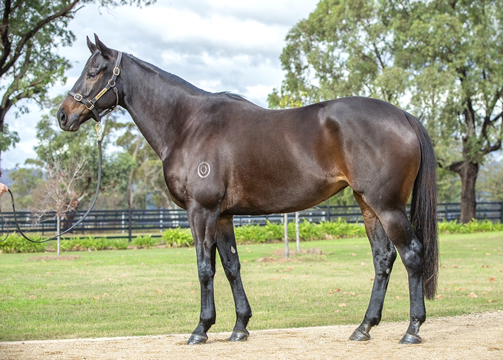 So Glamorous (AUS) - Image 1