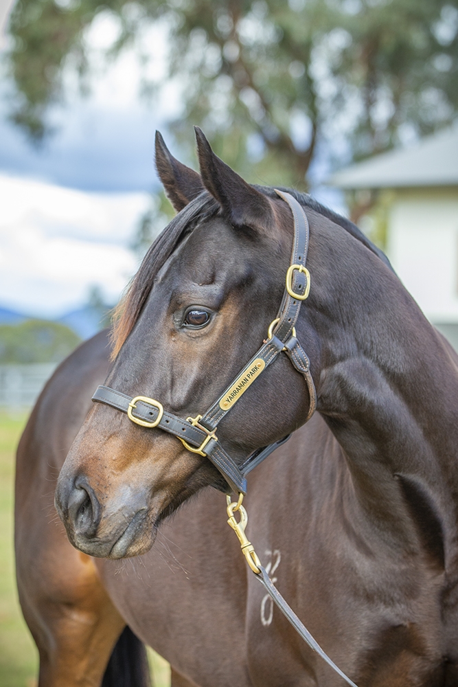 So Glamorous (AUS) - Image 2