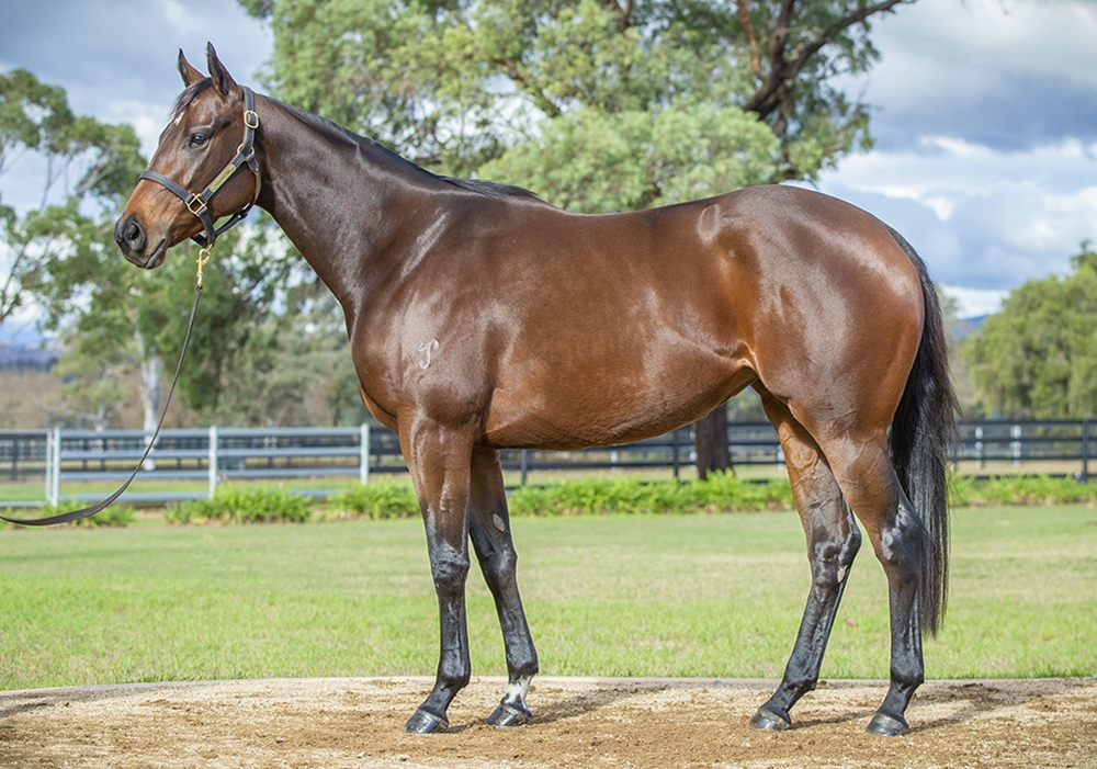 Heavenly Conquest (AUS) - Image 1