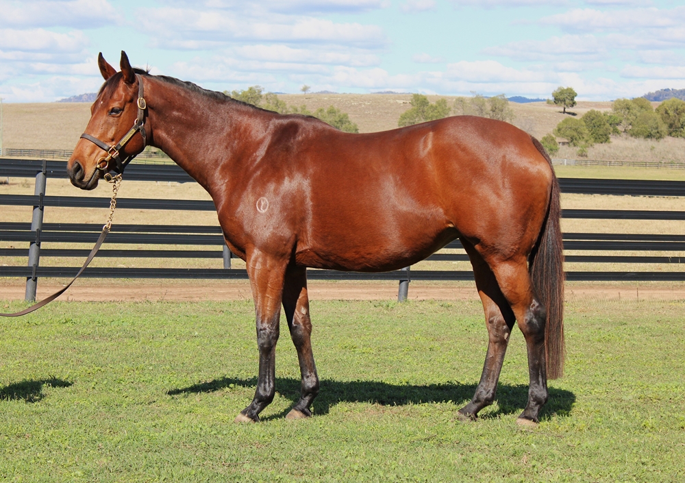 Rolling Rock (AUS) - Image 1