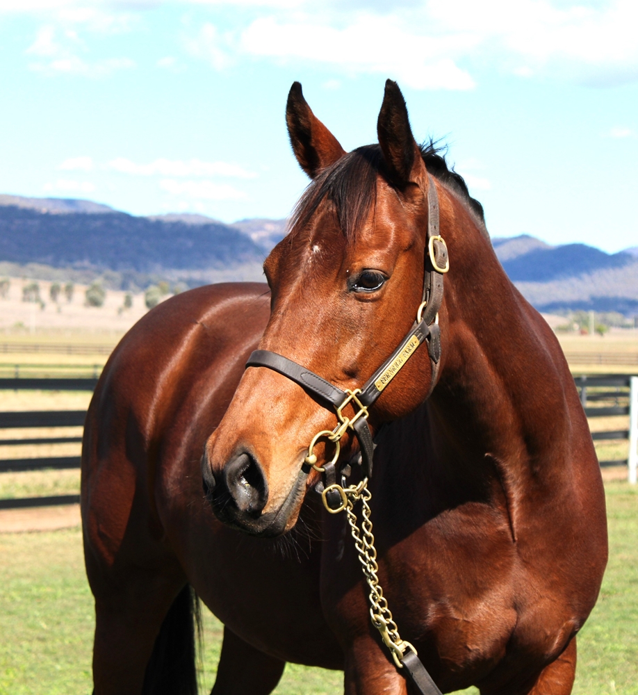 Rolling Rock (AUS) - Image 2