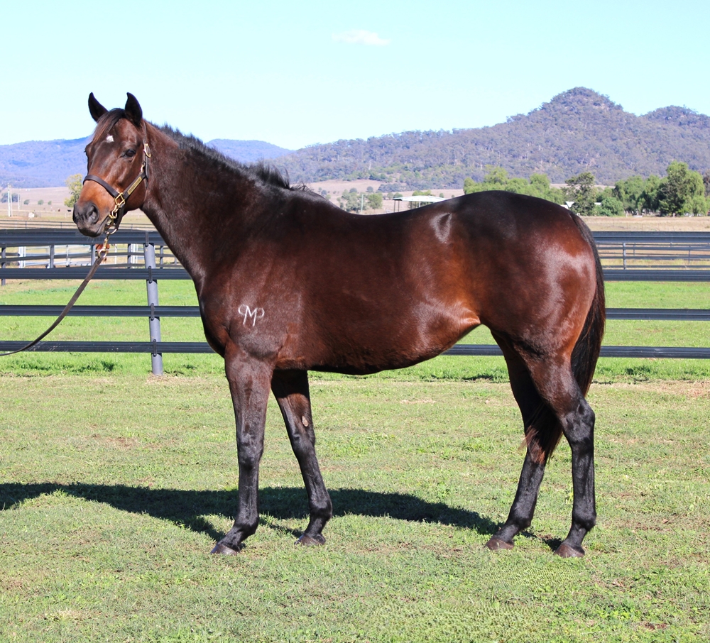 Covert Miss (AUS) - Image 1