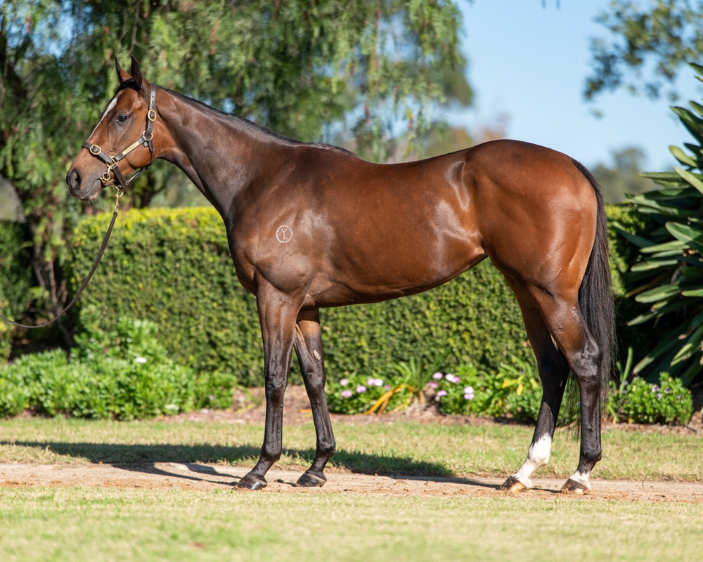 Karavas (AUS) - Image 1
