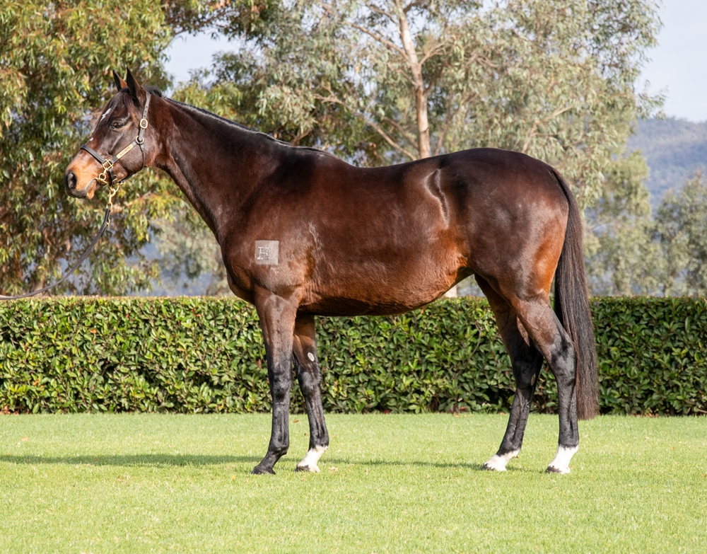 Miss Penfold (AUS) - Image 1