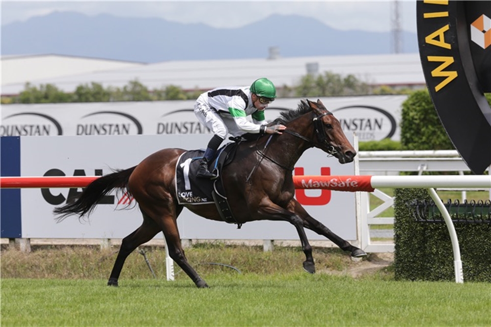 Not Guilty (NZ) - Image 6