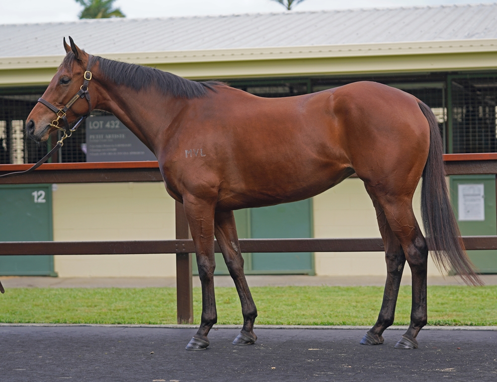 Tamieka Warrior (AUS) - Image 1