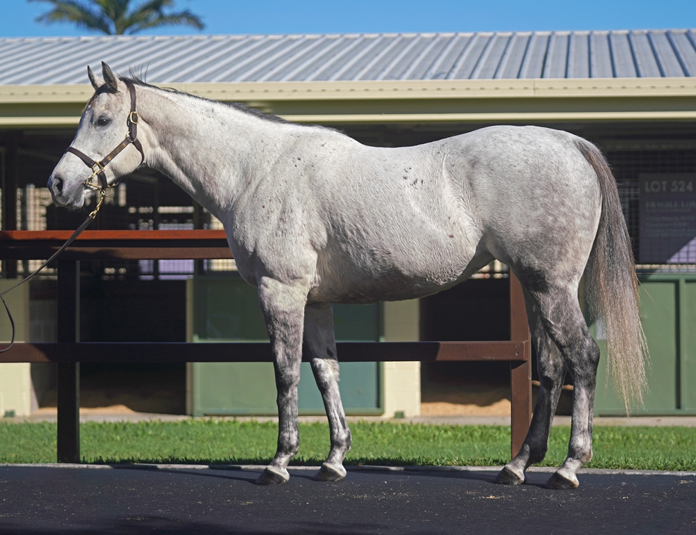 Limestone (AUS) - Image 1