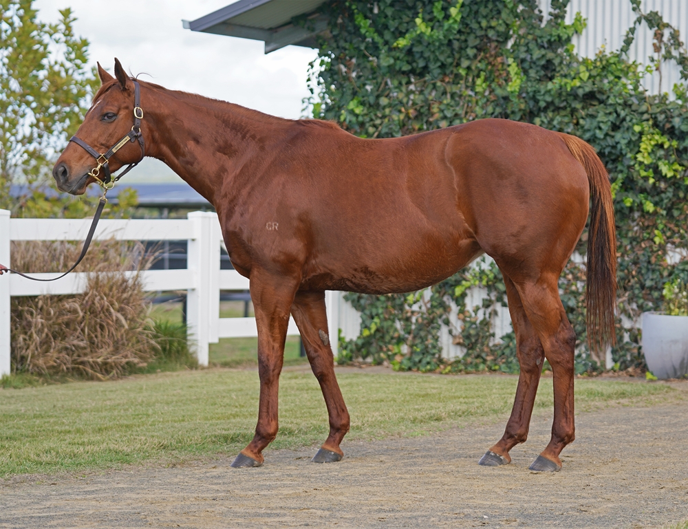 Viviane (AUS) - Image 1