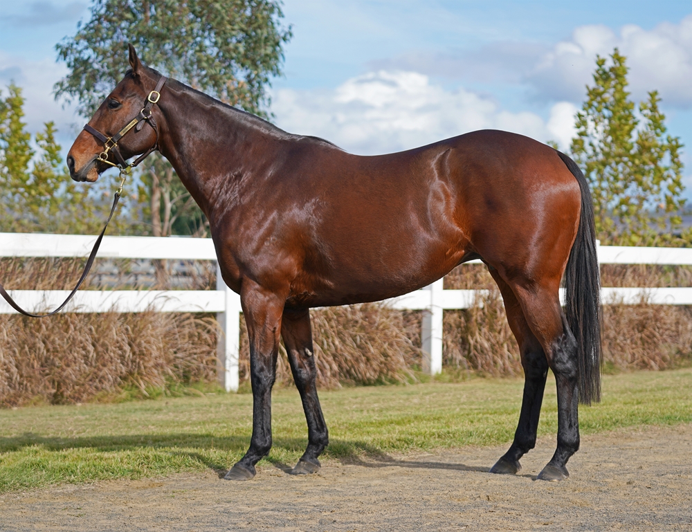 Chrome Angel (AUS) - Image 1