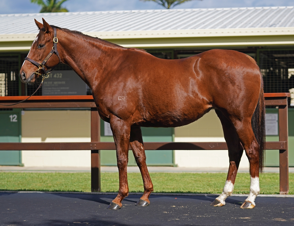 Crystal Star (AUS) - Image 1