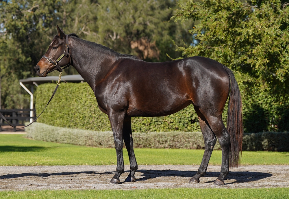 Simply Amazing (AUS) - Image 1
