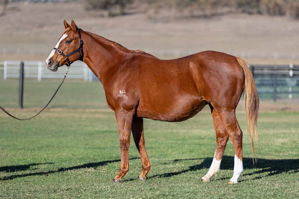 Mossbeat (AUS) - Image 1