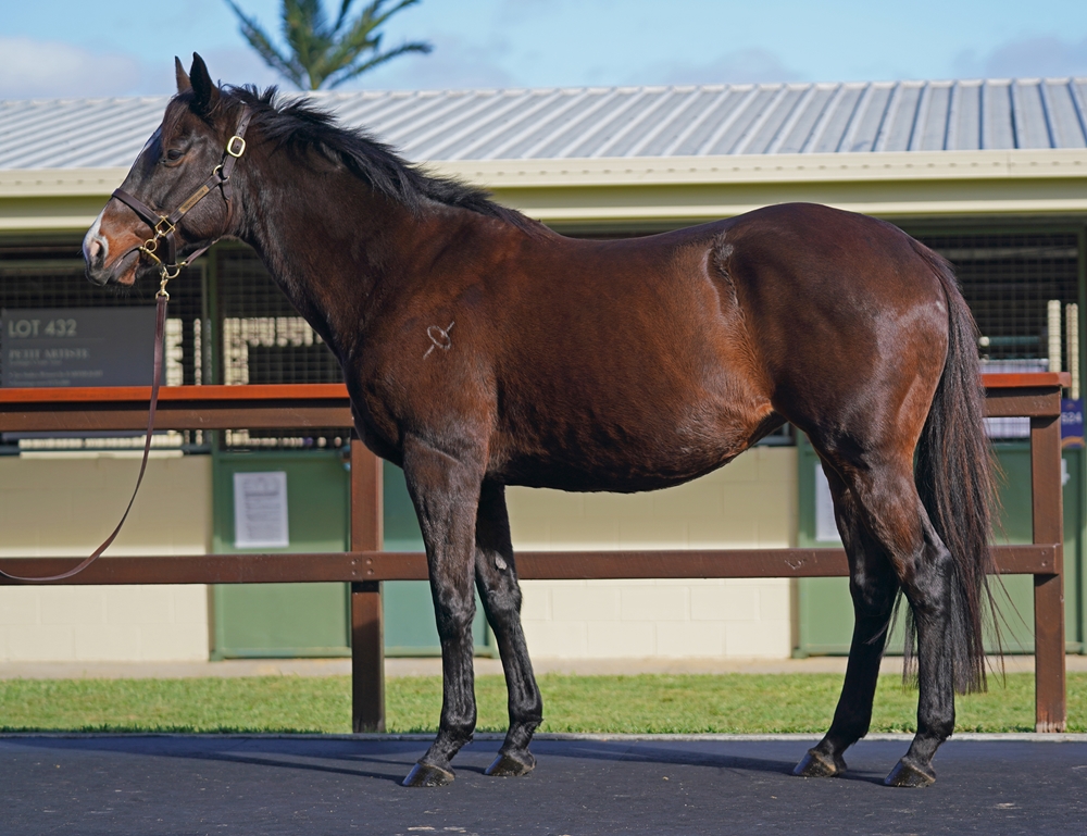 Majella (AUS) - Image 1